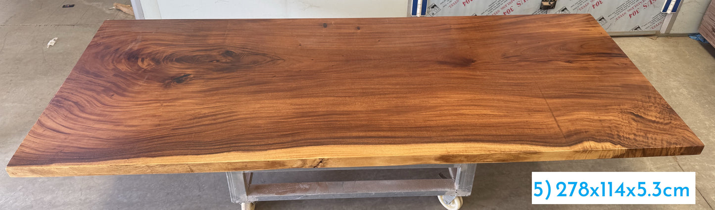 Table number 5 (278x114cm)